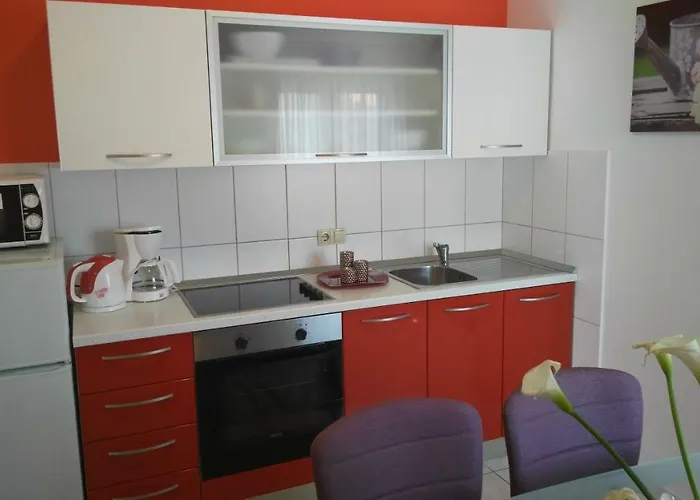 Zunic * 特罗吉尔