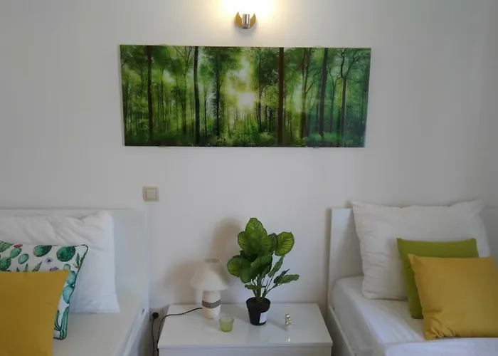 Zunic * Τρογκίρ